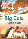Snashall, Sarah - Reading Champion: Big Cats, Little Cats
