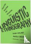 Copland - Linguistic Ethnography: Collecting, Analysing and Presenting Data