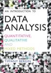 Bergin, Tiffany - An Introduction to Data Analysis
