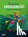 Orsini, James A. (Associate Professor of Surgery, Divers, Thomas J. (Professor - Equine Emergencies