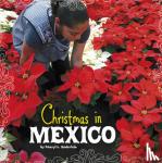 Cheryl L. Enderlein - Christmas in Mexico