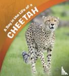 Amstutz, Lisa J. - A Day in the Life of a Cheetah