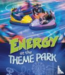 Karen Latchana Kenney - Energy at the Theme Park