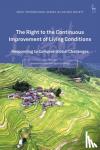  - The Right to the Continuous Improvement of Living Conditions