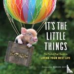 Austin, Richard - It's the Little Things - The Pocket Pigs' Guide to Living Your Best Life (Inspiration Book, Gift Book, Life Lessons, Mini Pigs)
