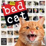 Calendars, Workman - Bad Cat Wall Calendar 2024 - Celebrating the Misfits of the Feline World