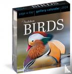 Society, National Audubon, Calendars, Workman - Audubon Birds Page-A-Day Gallery Calendar 2024 - Hundreds of Birds, Expertly Captured by Top Nature Photographers
