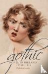 Morin, Christina - The Gothic Novel in Ireland, c. 1760-1829