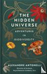 Antonelli, Alexandre - The Hidden Universe