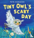 Horacek, Petr - Tiny Owl's Scary Day