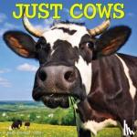 Willow Creek Press - Just Cows 2024 12 X 12 Wall Calendar