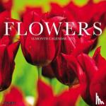Willow Creek Press - Flowers 2024 12 X 12 Wall Calendar