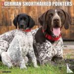 Willow Creek Press - Just German Shorthaired Pointers 2024 12 X 12 Wall Calendar