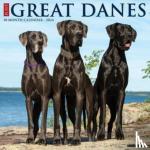 Willow Creek Press - Just Great Danes 2024 12 X 12 Wall Calendar