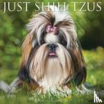 Willow Creek Press - Just Shih Tzus 2024 12 X 12 Wall Calendar