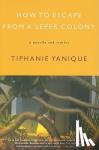 Tiphanie Yanique - How To Escape From A Leper Colony - A Novella and Stories