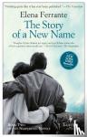 Ferrante, Elena - The Story Of A New Name - Book 2