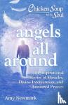 Newmark, Amy - Chicken Soup for the Soul: Angels All Around