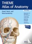 Schuenke, Michael, Schulte, Erik, Schumacher, Udo, Stefan, Cristian - Head, Neck, and Neuroanatomy (THIEME Atlas of Anatomy)