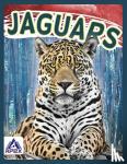 Geister-Jones, Sophie - Wild Cats: Jaguars