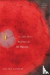 Conoley, Gillian - A Little More Red Sun on the Human