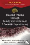 Nyaki, Efu - Healing Trauma through Family Constellations and Somatic Experiencing