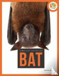 Gah, Melissa - Spotlight on Nature: Bat