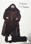 Insight Editions - Harry Potter: Hagrid's Cake Pop-Up Card