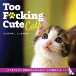 Sourcebooks - 2023 Too F*cking Cute Cats Wall Calendar