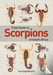 Engelbrecht, Ian - Field Guide to Scorpions of South Africa