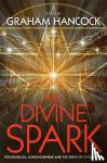  - The Divine Spark - Psychedelics, Consciousness and the Birth of Civilization