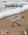  - Sanderlings