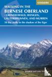 Williams, Lesley, Williams, Jonathan - Walking in the Bernese Oberland - Jungfrau region