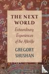 Shushan, Gregory - The Next World - Extraordinary Experiences of the Afterlife