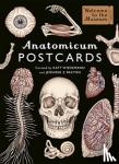 Paxton, Jennifer Z - Anatomicum Postcard Box