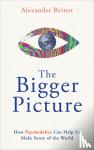 Beiner, Alexander - The Bigger Picture - How Psychedelics Can Help Us Make Sense of the World