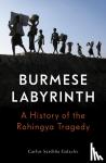 Galache, Carlos Sardina - The Burmese Labyrinth