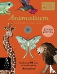 Broom, Jenny - Animalium (Junior Edition)