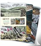 Flame Tree Studio - Angela Harding: Wildlife Set of 3 Midi Notebooks