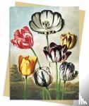 - Temple of Flora: Tulips Greeting Card Pack