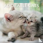 Red, Robin - Adorable Cats 2024 Square Wall Calendar - Original Red Robin Publishing Ltd-Kalender [Mehrsprachig] [Kalender]