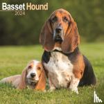 Avonside Publishing Ltd - Basset Hound Calendar 2024 Square Dog Breed Wall Calendar - 16 Month - Original Avonside-Kalender [Mehrsprachig] [Kalender]