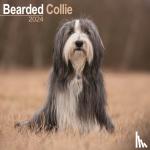 Avonside Publishing Ltd. - Bearded Collie Calendar 2024 Square Dog Breed Wall Calendar - 16 Month - Original Avonside-Kalender [Mehrsprachig] [Kalender]
