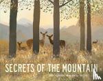 Walden, Libby - Secrets of the Mountain