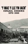 Elin Tomos - 'Y Mae y Lle yn Iach' - Chwarel Dinorwig 1875-1900