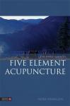 Franglen, Nora - The Simple Guide to Five Element Acupuncture
