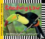 Powell, Sarah - Cyfres Dwlu Dysgu: Coedwig Law
