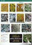 Dobson, Frank - Guide to Common Urban Lichens