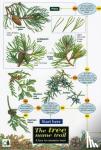 Oldham, Jonathan - Tree Name Trail - A Key to Common Trees