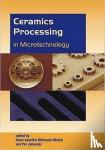  - Ceramics Processing in Microtechnology